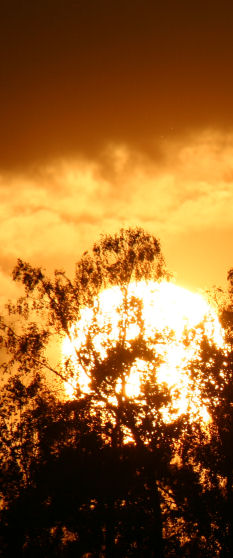 Sunrize